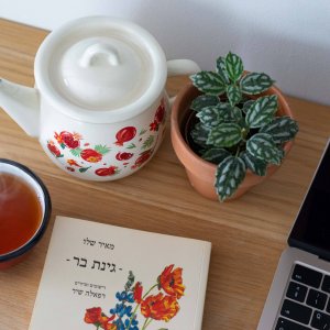 צילום עיצוב פנים בית בפרדס חנה (9).jpg