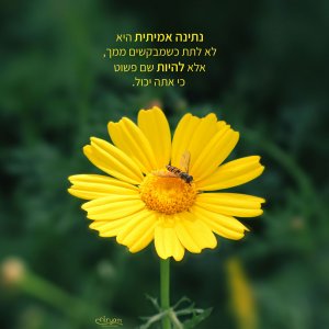 נתינה-אמיתית.jpg