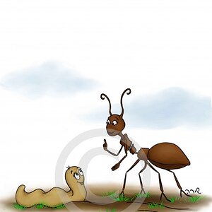 הנמלה