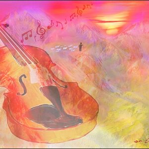 תמונת אוירה