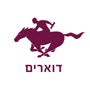 דוארים - עיצוב לוגו לחברת שליחויות