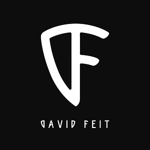 David Feit - עיצוב לוגו ליועץ פרויקטים