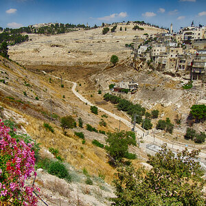 הר הזיתים (1)