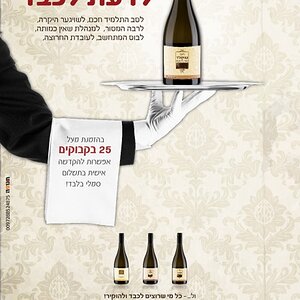 פרסומת לליקרים ביתיים (פורים)