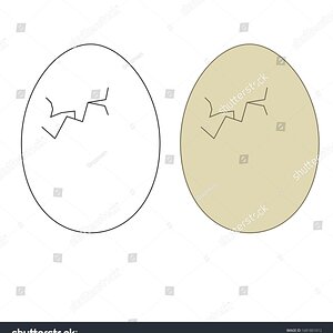 ביצה וקטורי-1681801012.jpg
