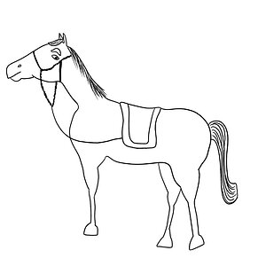 סוס עומד
