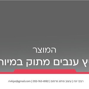 תיק רבקי יונה-15.jpg